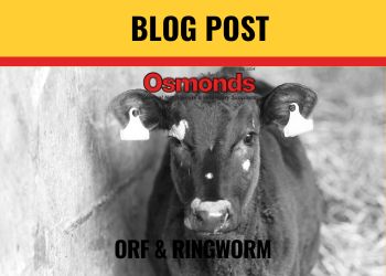 Orf & Ringworm in Livestock