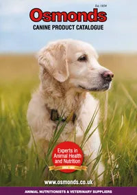 Canine Brochure