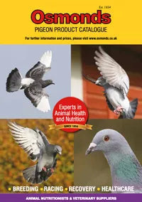 Pigeon Brochure