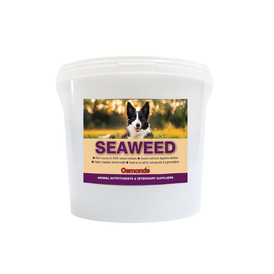 Osmonds Canine Organic Seaweed for Dogs