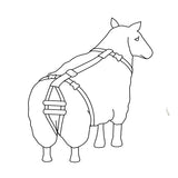 Prolapse Harness for Ewes - Diagram