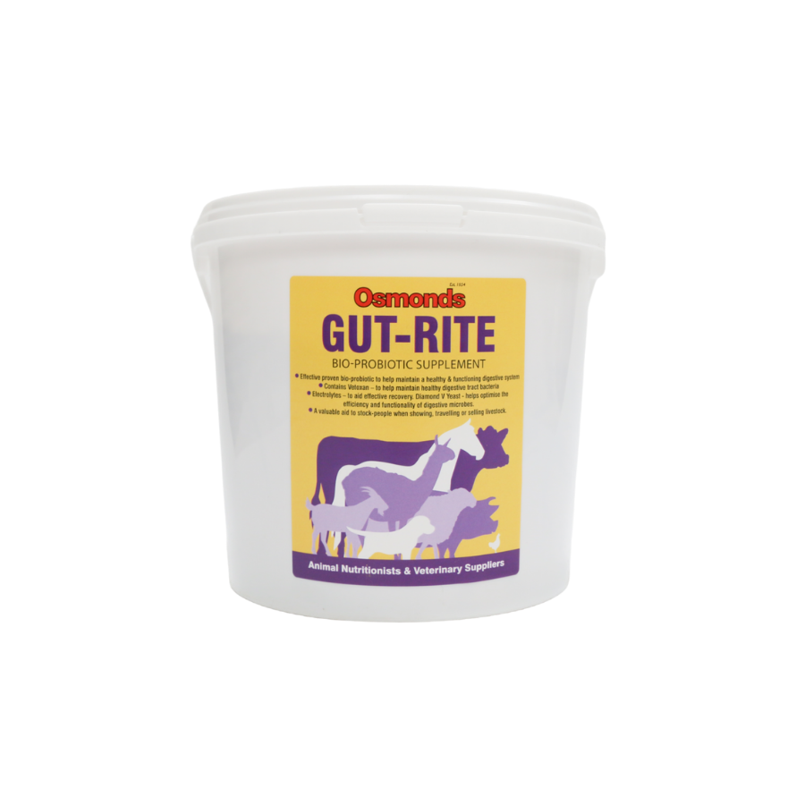 Osmonds Gut-Rite Bio-Probiotic Supplement