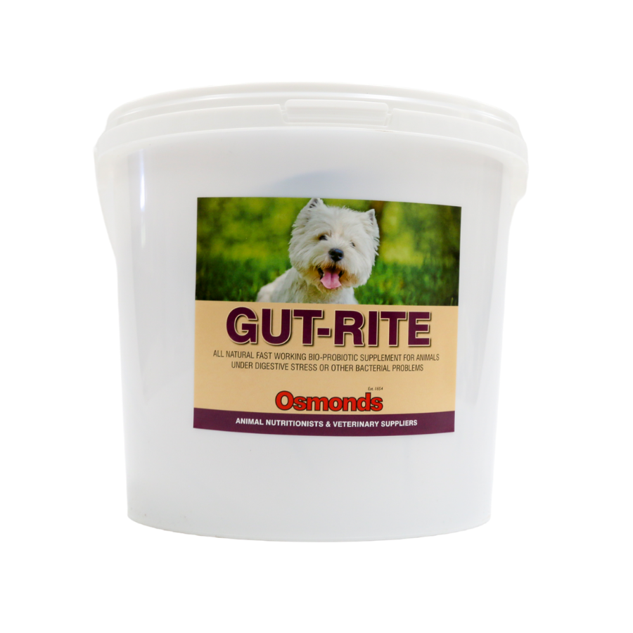 Osmonds Canine Gut-Rite for Dogs