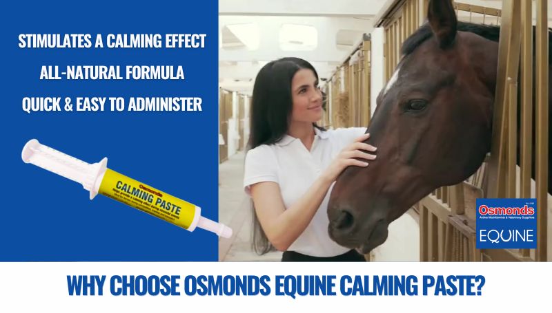 Equine Calming Paste Banner