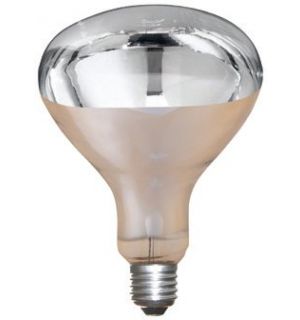 Infrared Bulb TRANSPARENT