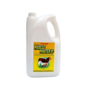 Osmonds Muscle Master Liquid 