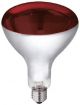 Infrared Bulb RED