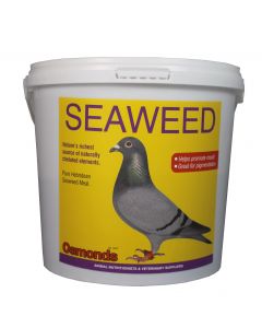 Avian Seaweed