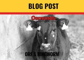 ORF & RINGWORM IN LIVESTOCK 