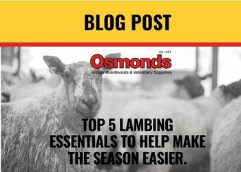 TOP 5 LAMBING ESSENTIALS TO HELP MAKE THE SEASON EASIER