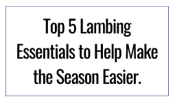 Top 5 Lambing Essentials to Help Make the Season Easier.