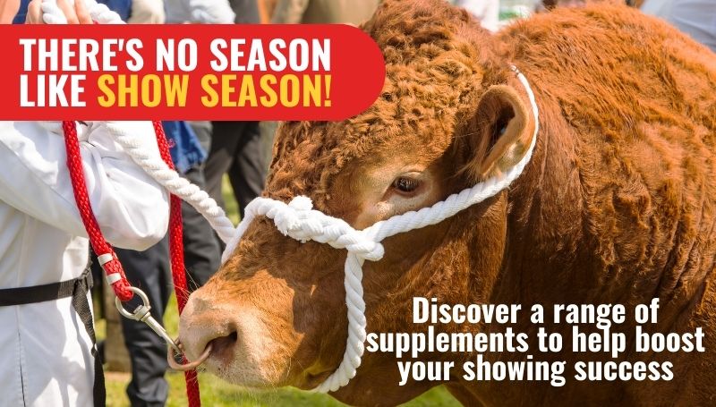 Experts in Animal Health & Nutrition Experts in Animal Health & Nutrition
